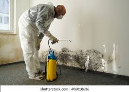 Professional Mold Prevention & Removal  in Alliance, NC